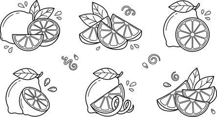 Fresh lemon and lime citrus fruit vector line art icon set for juice beverage branding design © Sabbir Studio
