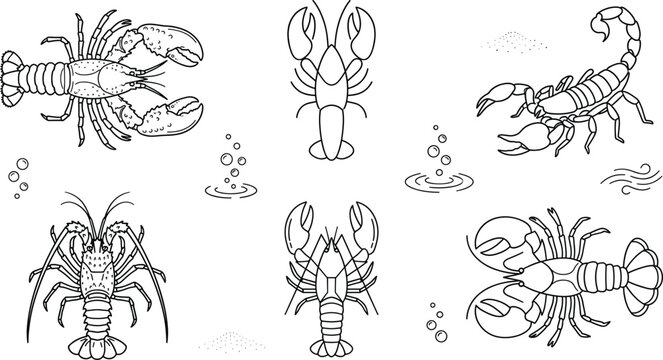 Lobster crayfish and scorpion crustacean vector line art icon set for seafood restaurant and wildlife design