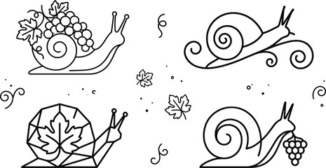 Garden snail with grape bunch and vine leaves vector line art icon set for winery branding projects © Sabbir Studio