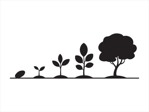 Growth stages of a tree from seed to maturity silhouette collection vector isolated illustration