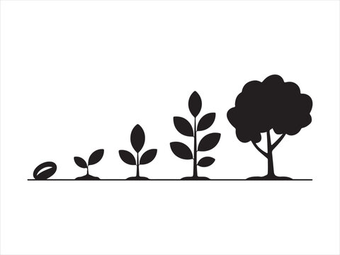 Growth stages of a tree from seed to maturity silhouette collection vector isolated illustration