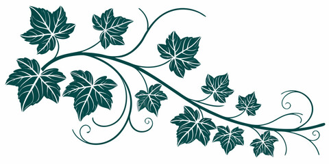 Lush green vine illustration with stylized filled leaves and delicate swirling tendrils for nature inspired graphic design and decoration botanical illustration decorative © Mamun