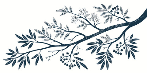 Artistic sketch of a tree branch with long tapered willow leaves and small berry clusters in a minimalist graphic illustration style botanical illustration artistic minimalist © Mamun