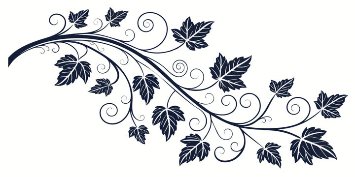 Decorative grapevine silhouette with swirling stems and serrated leaves for border and corner ornaments in vintage designs grapevine silhouette decoration ornament flourish