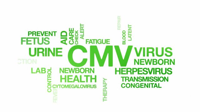 Cytomegalovirus CMV  concept Animated Tag Word Cloud kinetic typography, Text Design Animation typography seamless loop video motion graphics Intro Wordart arrangement green type on white background b