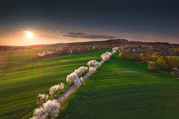 Opole- Góra św. Anny - Opole © Radosław Dybała