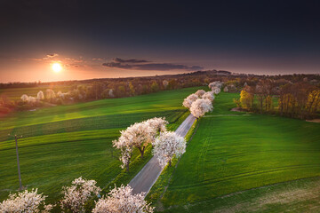 Opole- Góra św. Anny - Opole © Radosław Dybała