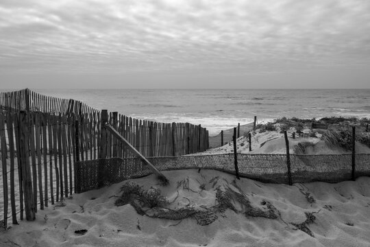 Black and white coastal landscape in Labenne Ocean showing a path to the sea through sand dunes and traditional wooden fences under a cloudy sky in Landes, France.