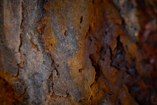 Vibrant high saturation macro texture of rustic weathered rock surface with rich orange rust and deep brown earthy mineral tones, warm textured background for graphic design.