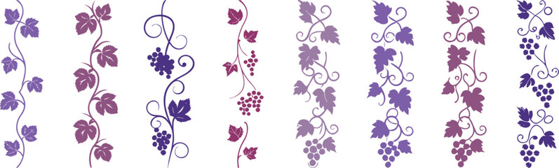 Colorful grapevine borders with leaves and berries © MdAzizul
