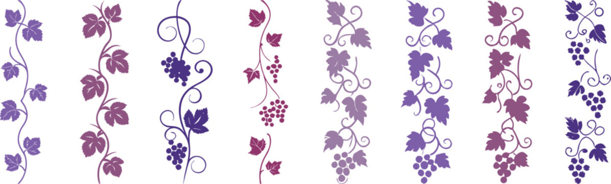 Colorful grapevine borders with leaves and berries