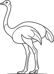 Obraz premium vector illustration of a cartoon ostrich