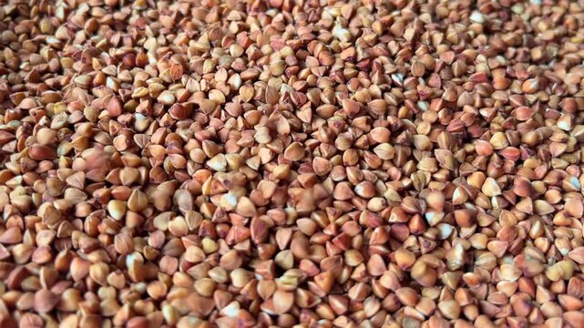 Raw buckwheat grains falling down