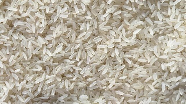 Horizontal camera flyover above raw white rice grains macro texture