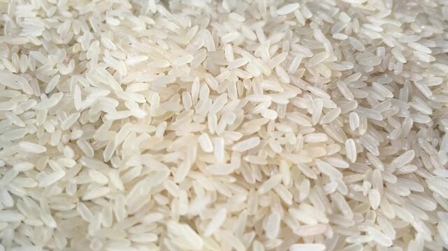 Raw white rice grains falling down