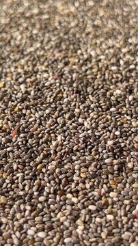 Raw chia seeds falling down