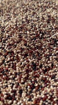 Raw chia seeds falling down macro photography. Vertical