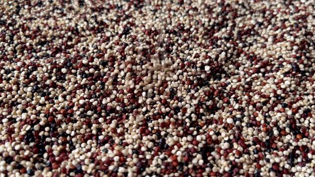 Raw chia seeds falling down macro photography