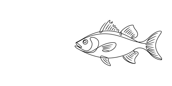 Simple line drawing of a fish swimming in the water