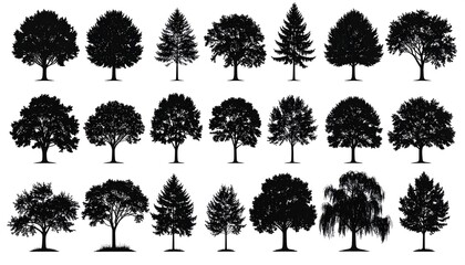 Fototapeta premium A collection of 20 various tree silhouettes in three rows