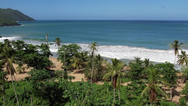 4k 60 fps Caribbean beach drone shoot with plams trees 7