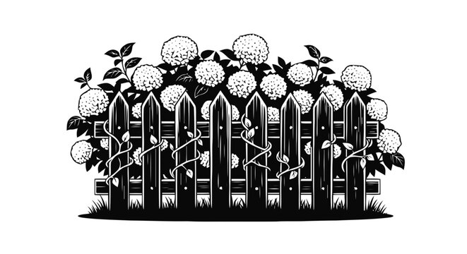 Vector illustration of black and white illustration of a wooden picket fence with hydrangea flowers on a transparent background