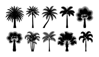 Fototapeta premium Collection of palm tree silhouettes featuring tropical palms, coconut trees, fan palms, and coastal foliage