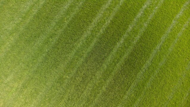 High angle view of patterned mown grass field with visible lawn mower lines