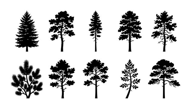 Collection of tree silhouettes featuring deciduous trees, conifers, pines, shrubs, and forest vegetation