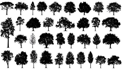 Fototapeta premium A collection of thirty-two black tree silhouettes on a white background