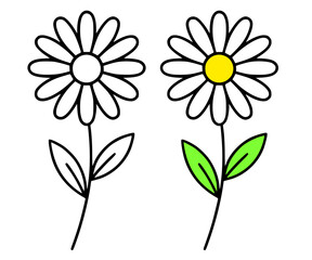 Daisy flower minimalist icon, in line art and colored style, for coloring page © Bambang