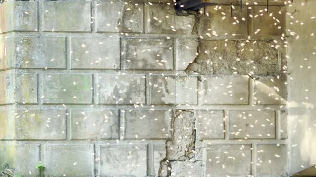A dense swarm of insects flies frantically in front of a cracked stone wall. This chaotic sight feels overwhelming and annoying, creating an eerie mood.