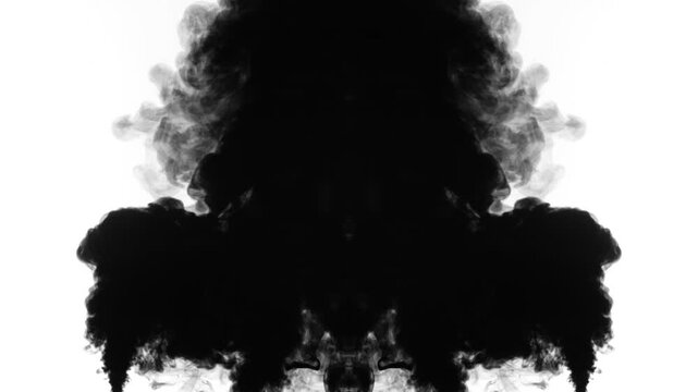 An abstract, slow-motion video showing black ink expanding symmetrically in water against a clean white background. creating beautiful fluid textures and organic, Rorschach-like patterns