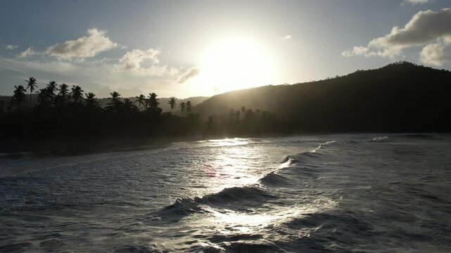 4k 60 fps Caribbean beach drone shoot with plams trees sunset 7
