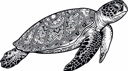 Fototapeta premium Mandala sea turtle illustration, intricate black and white line art drawing