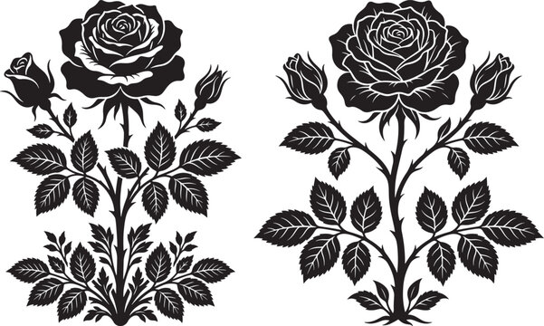Black silhouette rose flower plants with leaves and thorns isolated on white background silhouette botanical background isolated