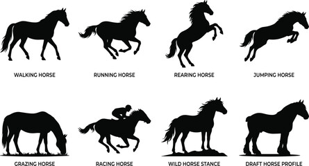 Obraz premium Horse Silhouettes Vector Icons Set with Walking Running Rearing Jumping Grazing Racing Wild and Draft Horses