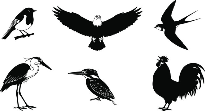 Black bird silhouette collection featuring flying and standing birds including eagle, swallow, heron, kingfisher, rooster, and songbird icons