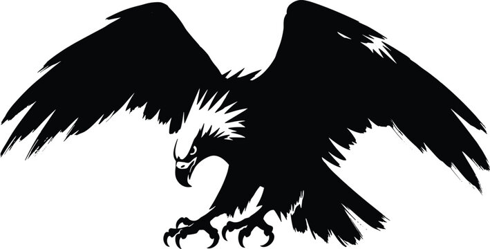 Black eagle silhouette with spread wings attacking pose isolated on white background powerful wildlife bird vector illustration design