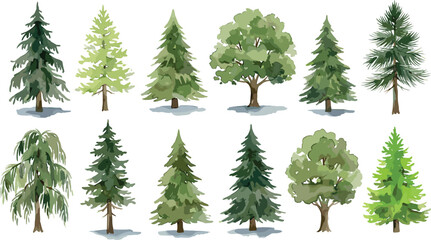 Tree collection vector illustration with coniferous evergreens, deciduous broadleaf, and willow‑like species in diverse green shades