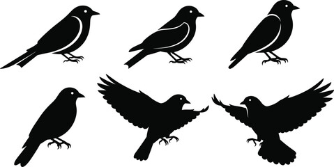 Fototapeta premium Black small bird silhouette set with perched and flying songbirds isolated on white background wildlife vector illustration collection