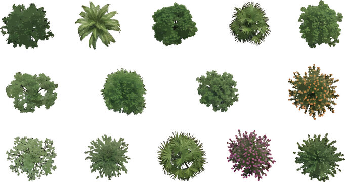 Set of various green trees and shrubs top view for architectural landscape design and site planning vector
