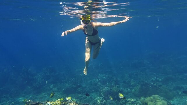 Woman snorkeling and swimming underwater with tropical fish