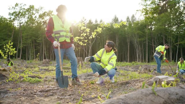 Eco volunteers planting tree on damaged woodland site. Male and female activists supporting forest recovery. Restoring ecosystem after deforestation. Environmental sustainability concept outdoors.