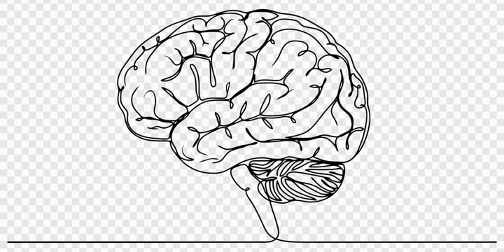 Brain continuous one line drawing, Human brain continuous one line drawing concept of Hand drawn minimalism style. one line Icon drawing with white background, One continuous line of brain drawing pen