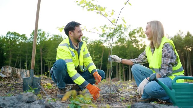 Close view of eco activists planting tree together. Man and woman placing sapling in soil. Volunteers supporting reforestation effort with watering can. Environmental conservation.