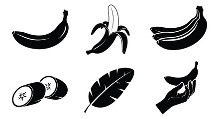 Banana And Kiwi Fruit Silhouettes With Tropical Leaf Vector Illustration © MDAliAkbor