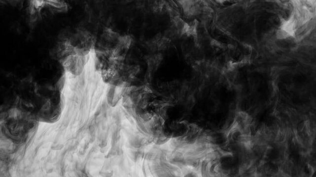 An abstract, slow-motion video showing black ink dropping from the top edge and gracefully dissolving into water against a clean white background. The ink forms dense, fluid textures expands downwards
