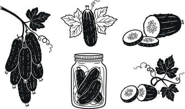 Black and white illustrations of pickled cucumbers isolated on transparent background