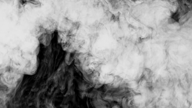 An abstract, slow-motion video showing black ink dropping from the top edge and gracefully dissolving into water against a clean white background. The ink forms dense, fluid textures expands downwards